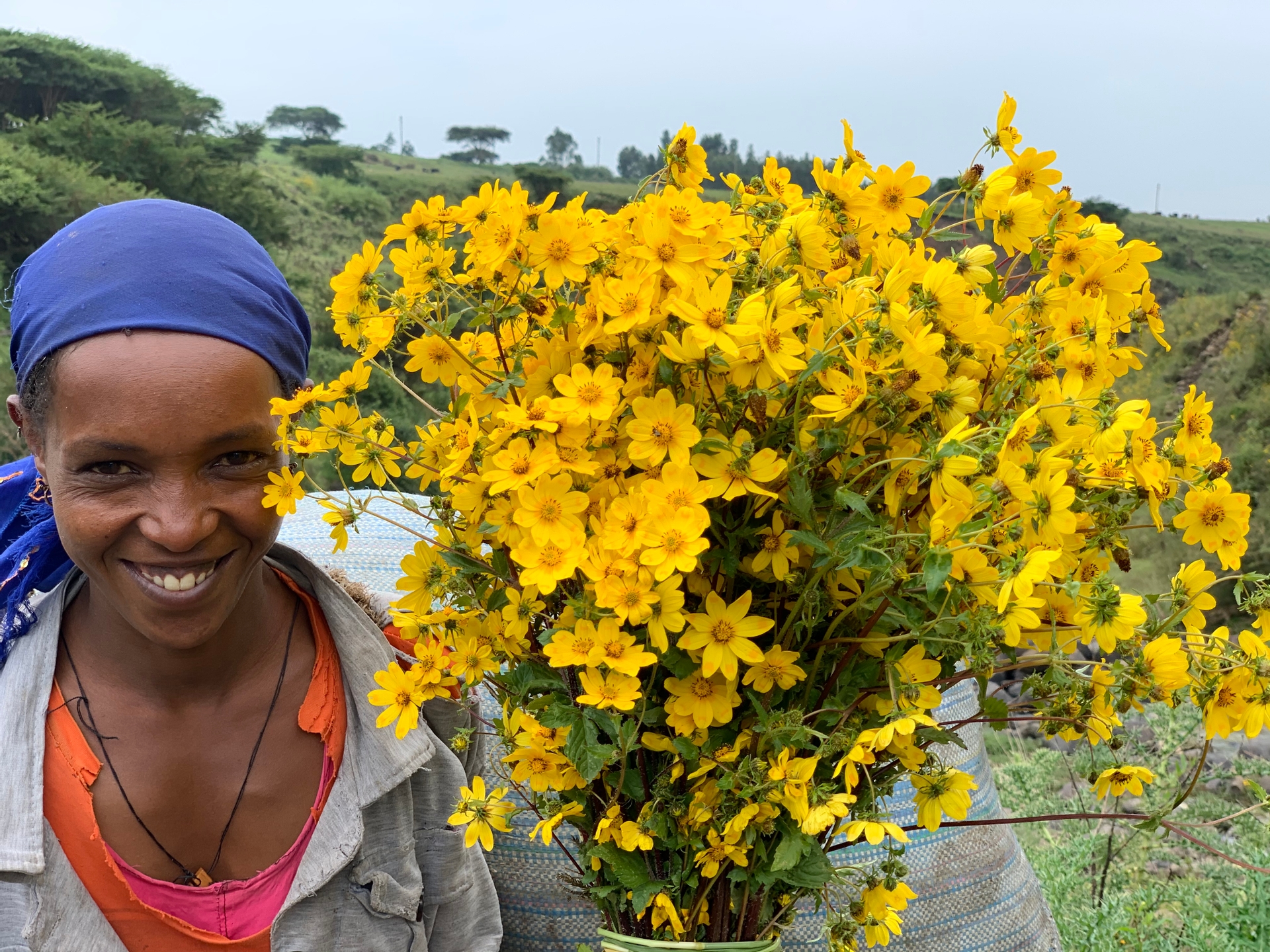 Photo illustrative équipe